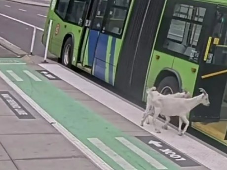 Misterio en el transporte