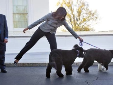 Obama anuncia la muerte de Sunny, su perra tras 13 años en familia